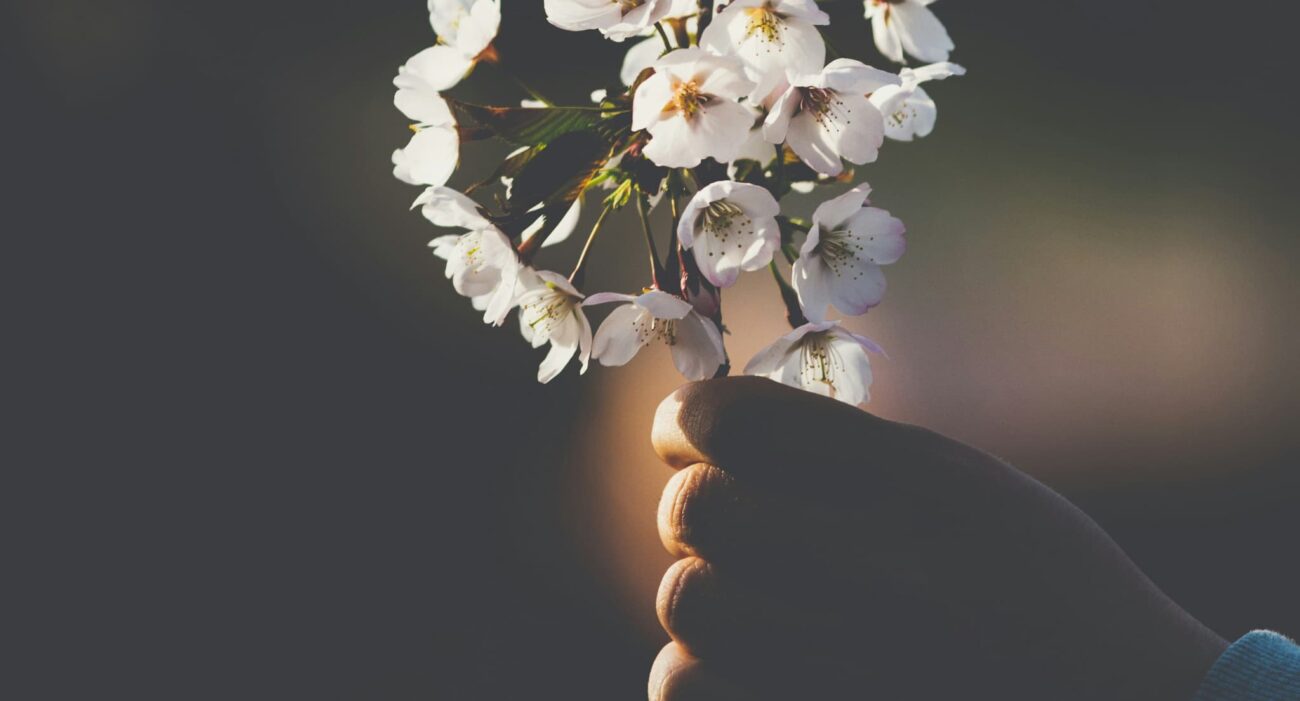 emotional healing1