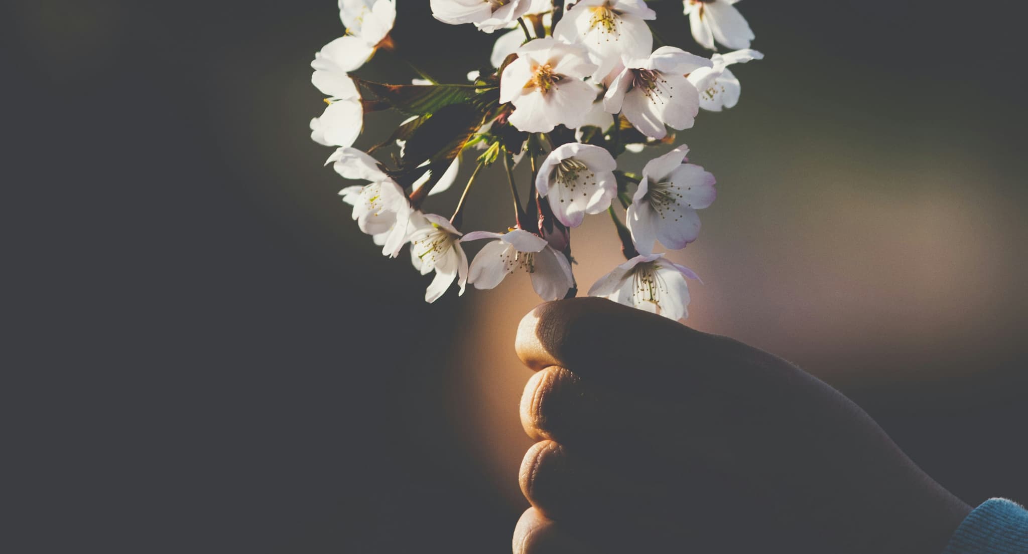 emotional healing1