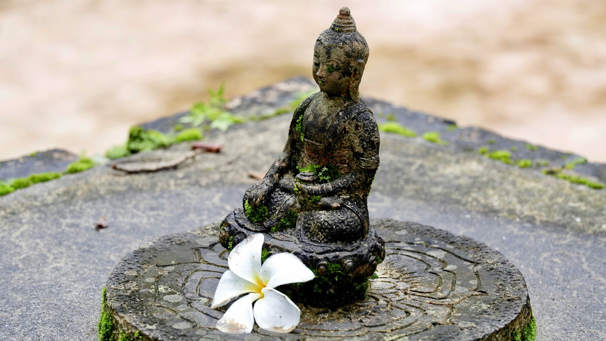 mindfulness objects2