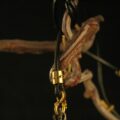 Centered Stillness Pendant - Image 5